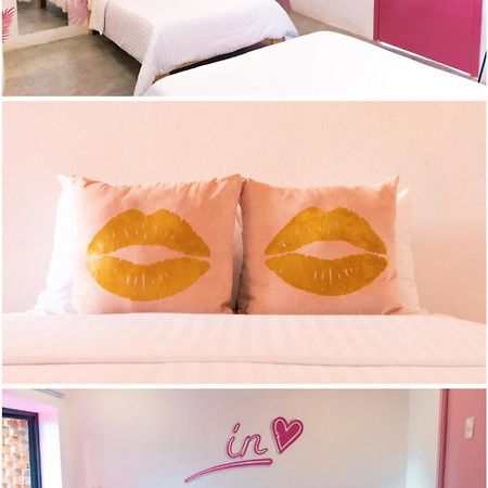 Hotel Suculenta Boutique San Cristóbal de Las Casas Dış mekan fotoğraf