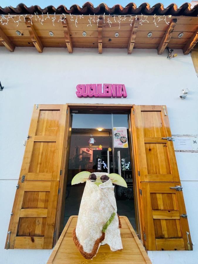 Hotel Suculenta Boutique San Cristóbal de Las Casas Dış mekan fotoğraf