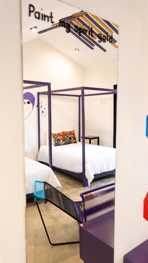 Hotel Suculenta Boutique San Cristóbal de Las Casas Dış mekan fotoğraf
