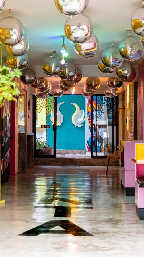 Hotel Suculenta Boutique San Cristóbal de Las Casas Dış mekan fotoğraf